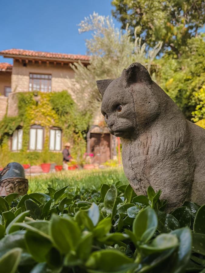 Casa Liza Bed and Breakfast Σαν Μιγκέλ ντε Αγιέντε Εξωτερικό φωτογραφία